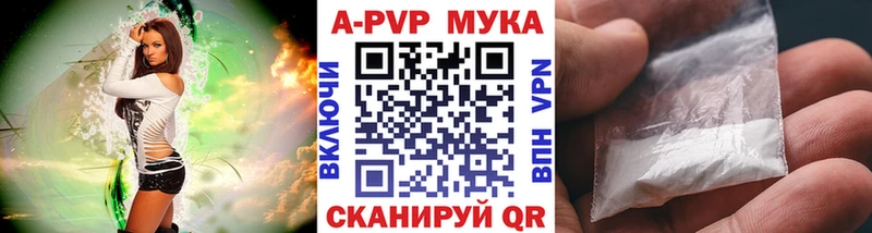 даркнет сайт  Судогда  A PVP СК 