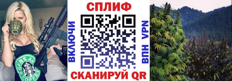 кракен   Судогда  Каннабис сатива 